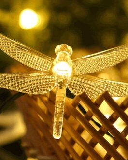 Lighting & Ceiling Fans